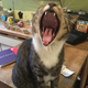 Image via me